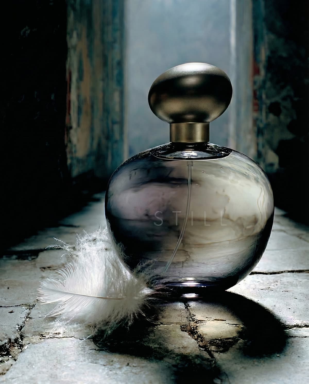 THE STILL POINT — short film by Valeria Usynina